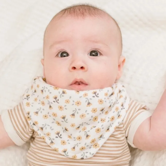 Fat Brain Toy 2 Pack Muslin Bandana Bibs Outlet
