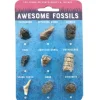 Fat Brain Toy Awesome Fossils - Hand-Sized Collection New