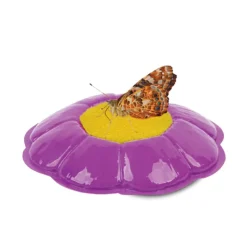 Fat Brain Toy Butterfly Feeder Online