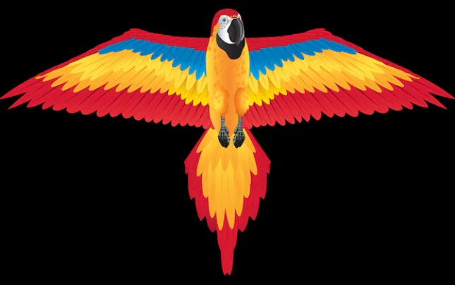 Fat Brain Toy Nylon 2D Kite - Red Macaw Best