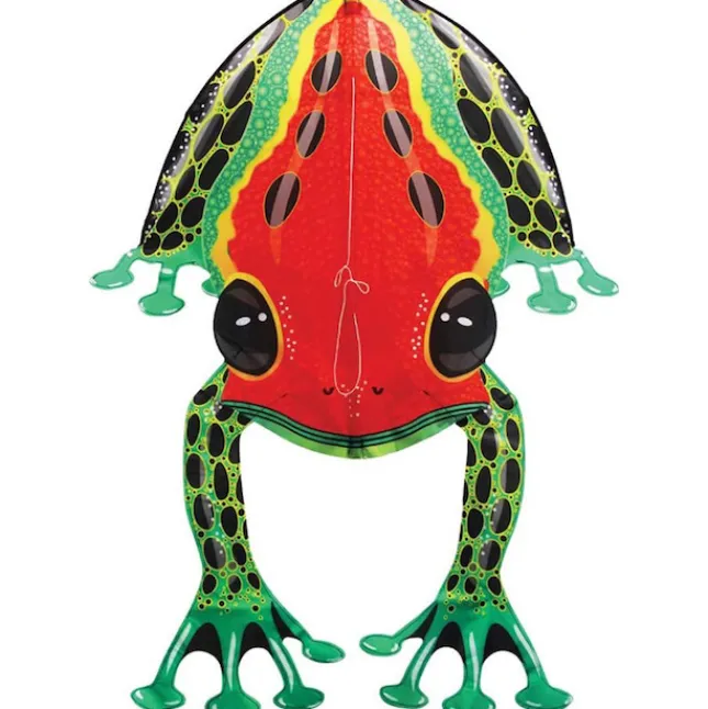 Fat Brain Toy Rainforest DLX Nylon Kite - Dart Frog Fashion