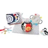 Fat Brain Toy Wimmer Sensory Fun-Damentals Gift Set Online